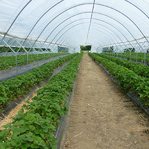 新思維、新方式！現(xiàn)代農(nóng)業(yè)發(fā)展早已不同！